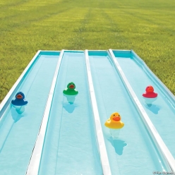 Duck Race Floating Rubber Ducks - 12Pk